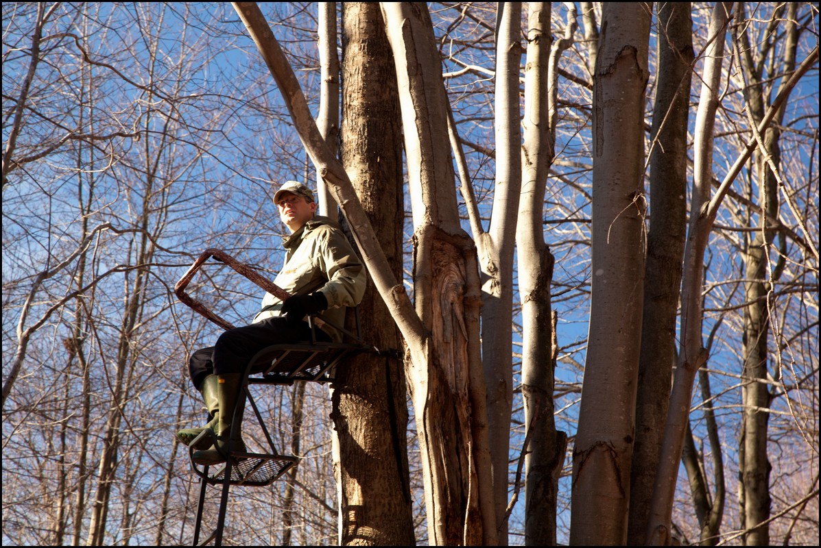 Christmas Michigan 2011 281.jpg