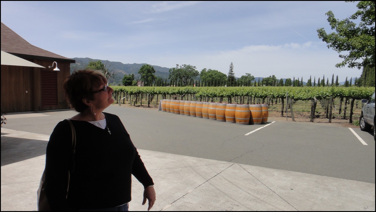 Napa 2011 001.JPG