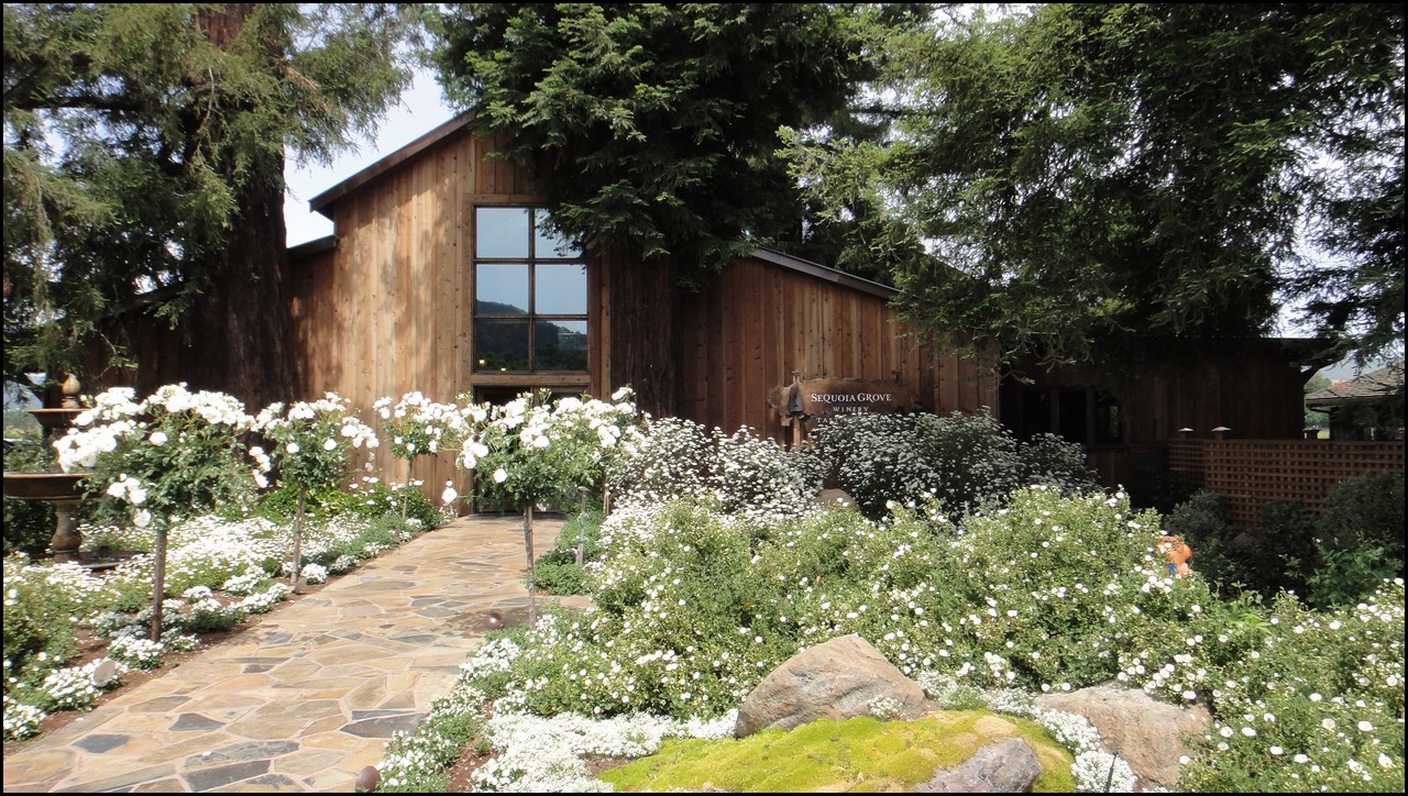 Napa 2011 008.JPG