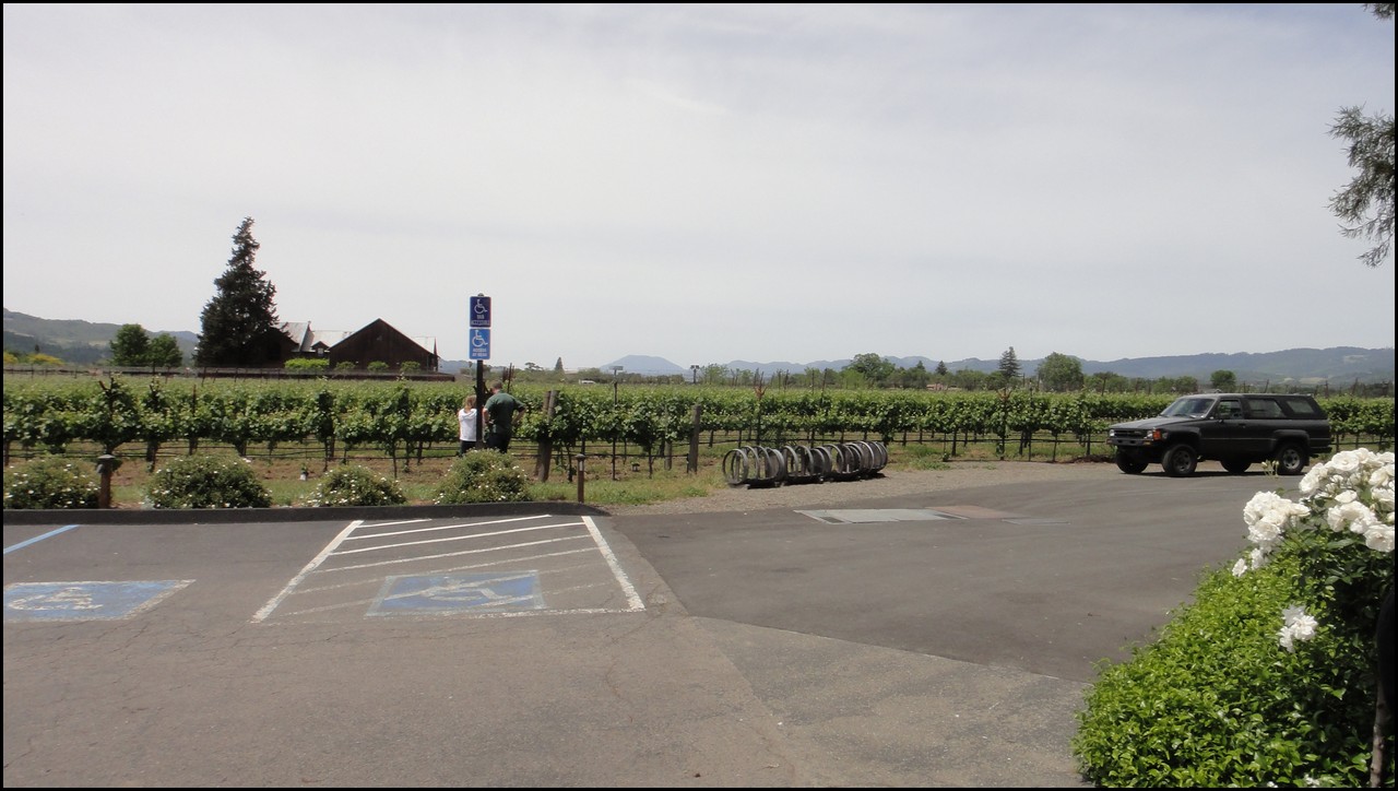 Napa 2011 009.JPG