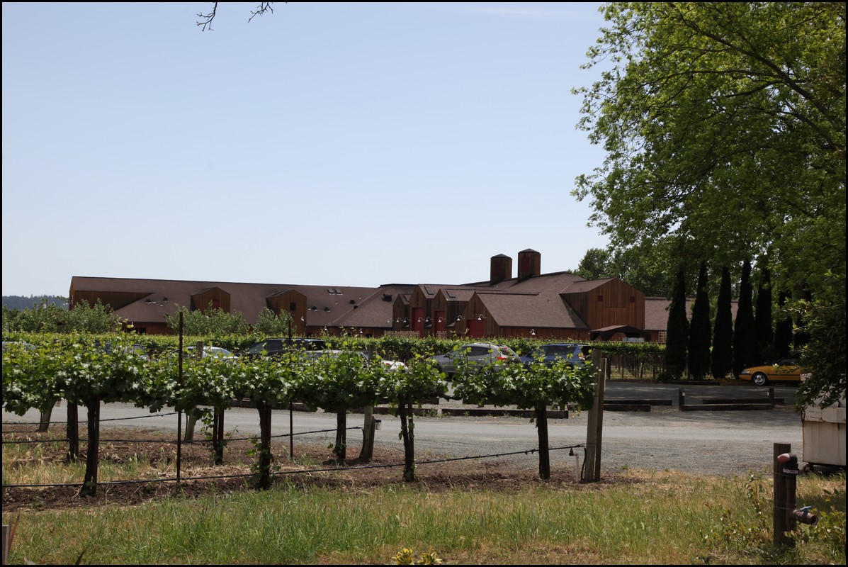 Napa 2011 018.JPG