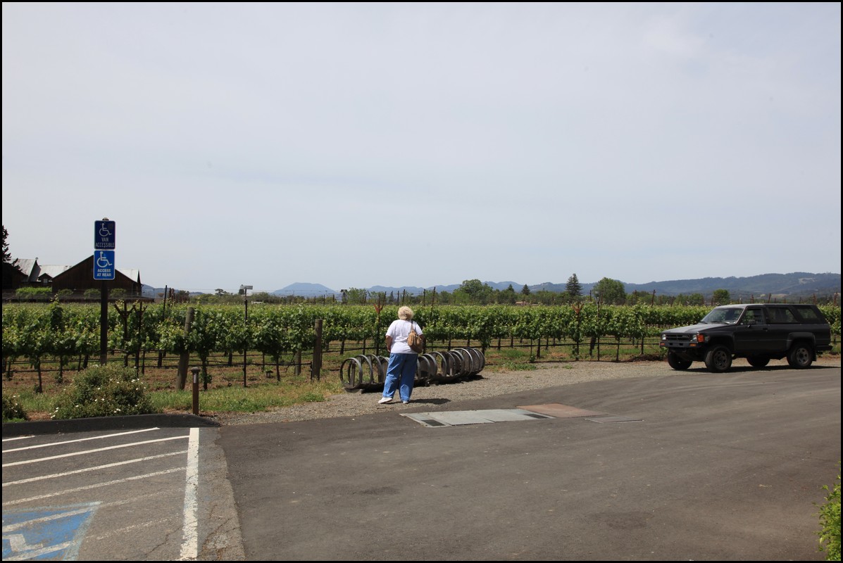 Napa 2011 021.JPG