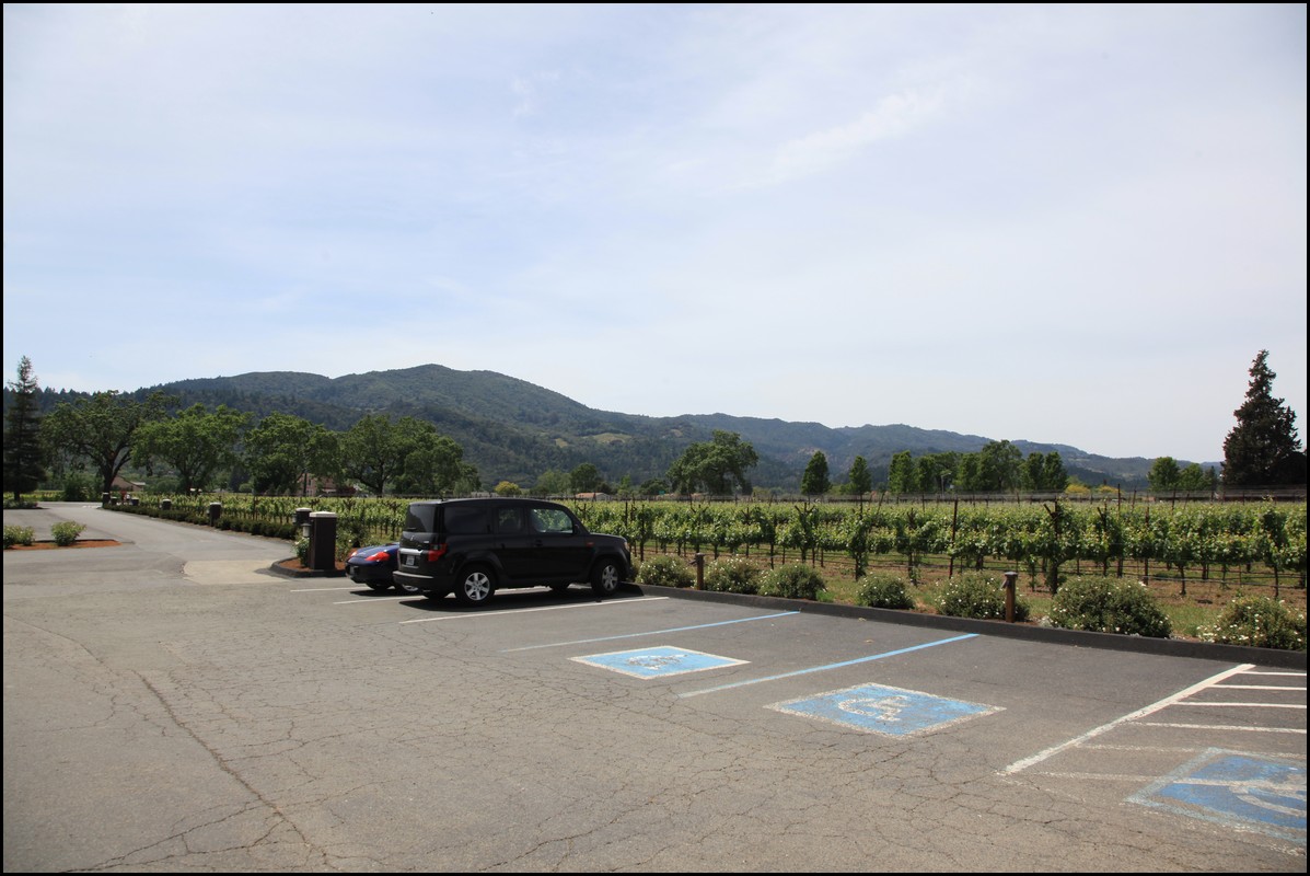 Napa 2011 022.JPG