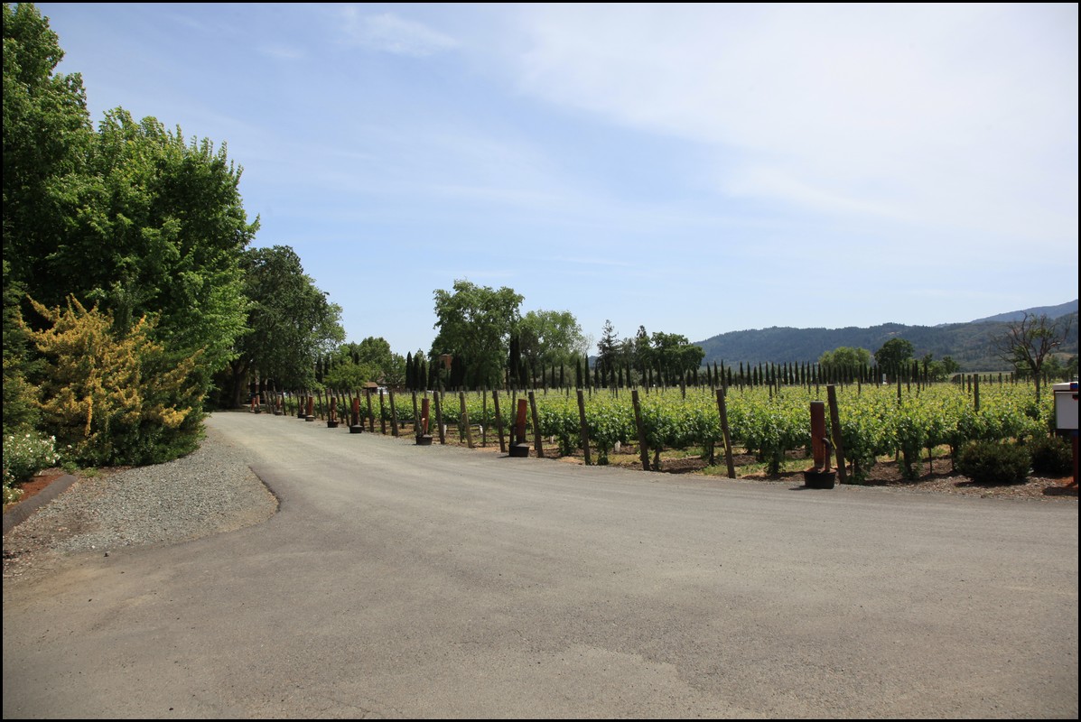 Napa 2011 024.JPG
