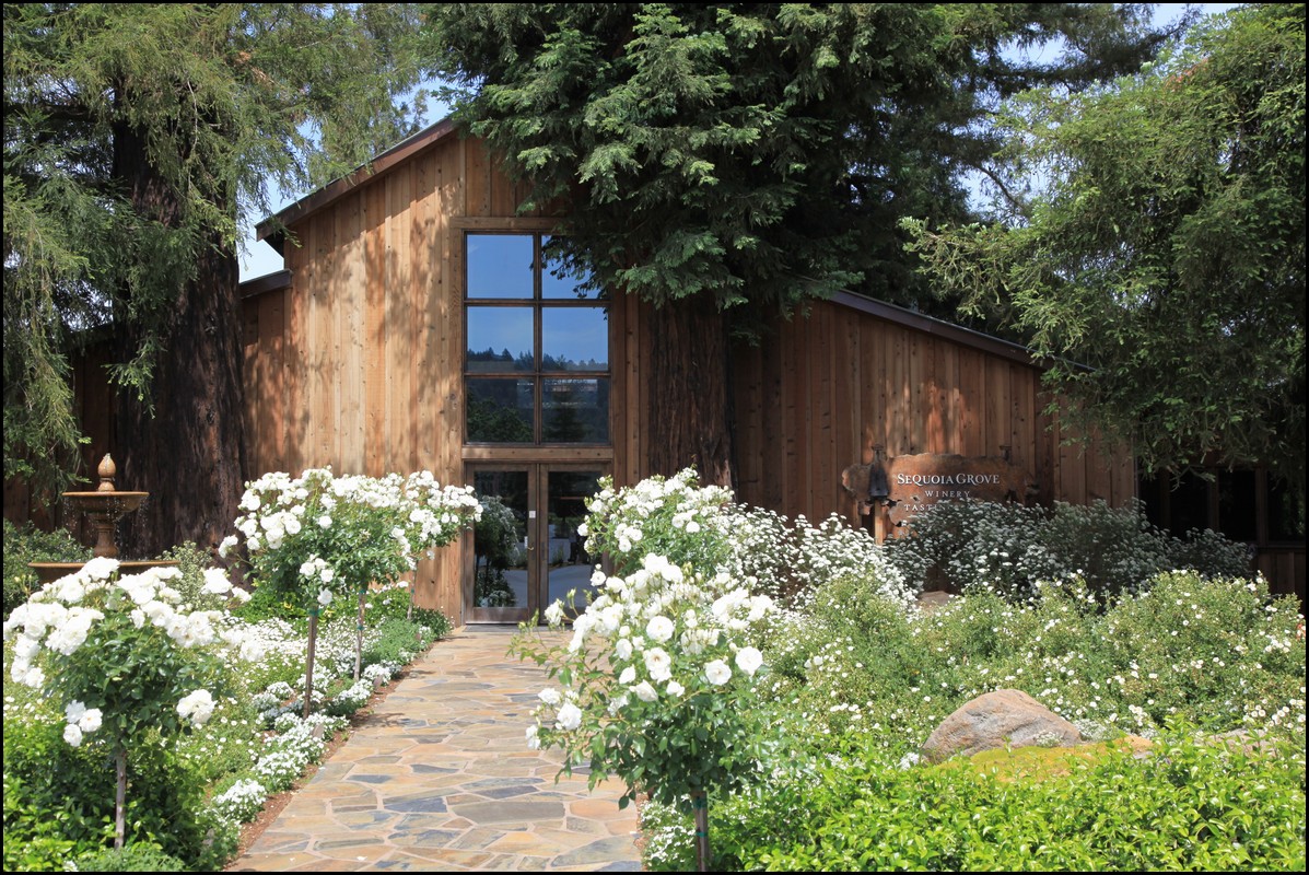 Napa 2011 026.JPG