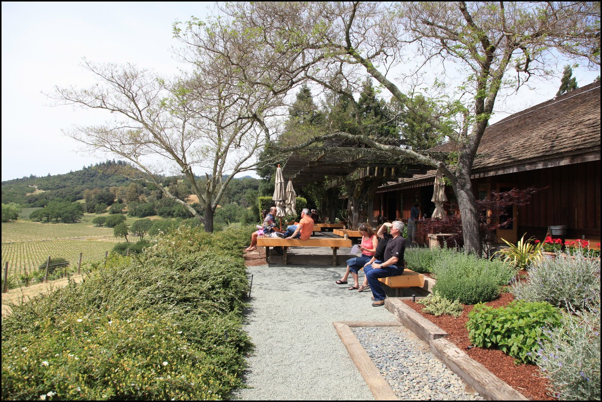 Napa 2011 038.JPG