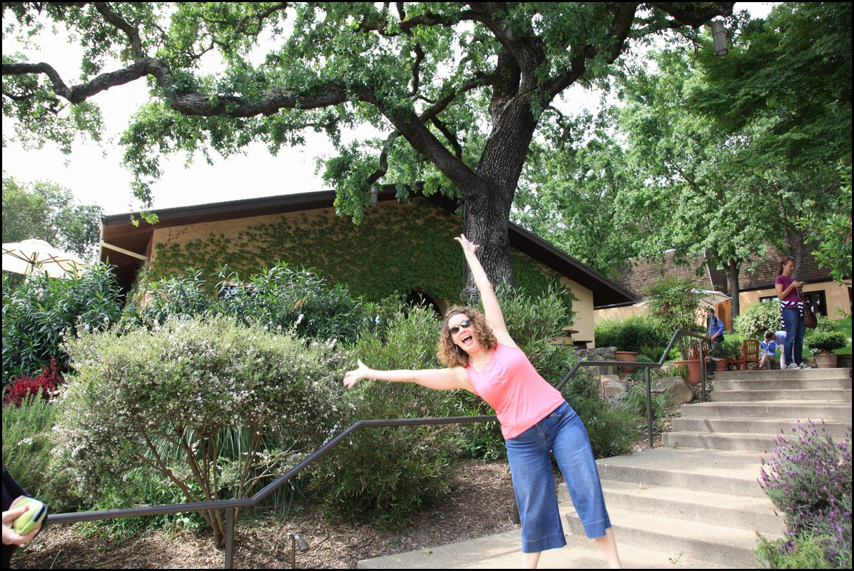 Napa 2011 048.JPG