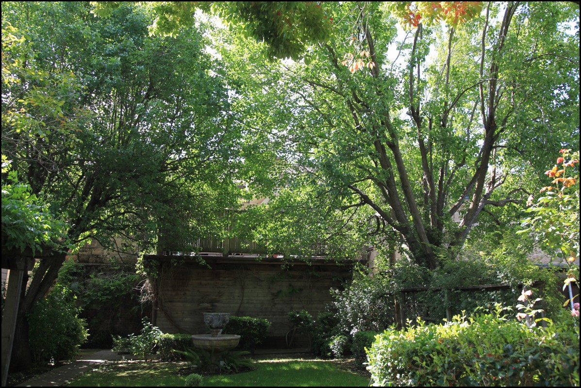 Napa 2011 056.JPG