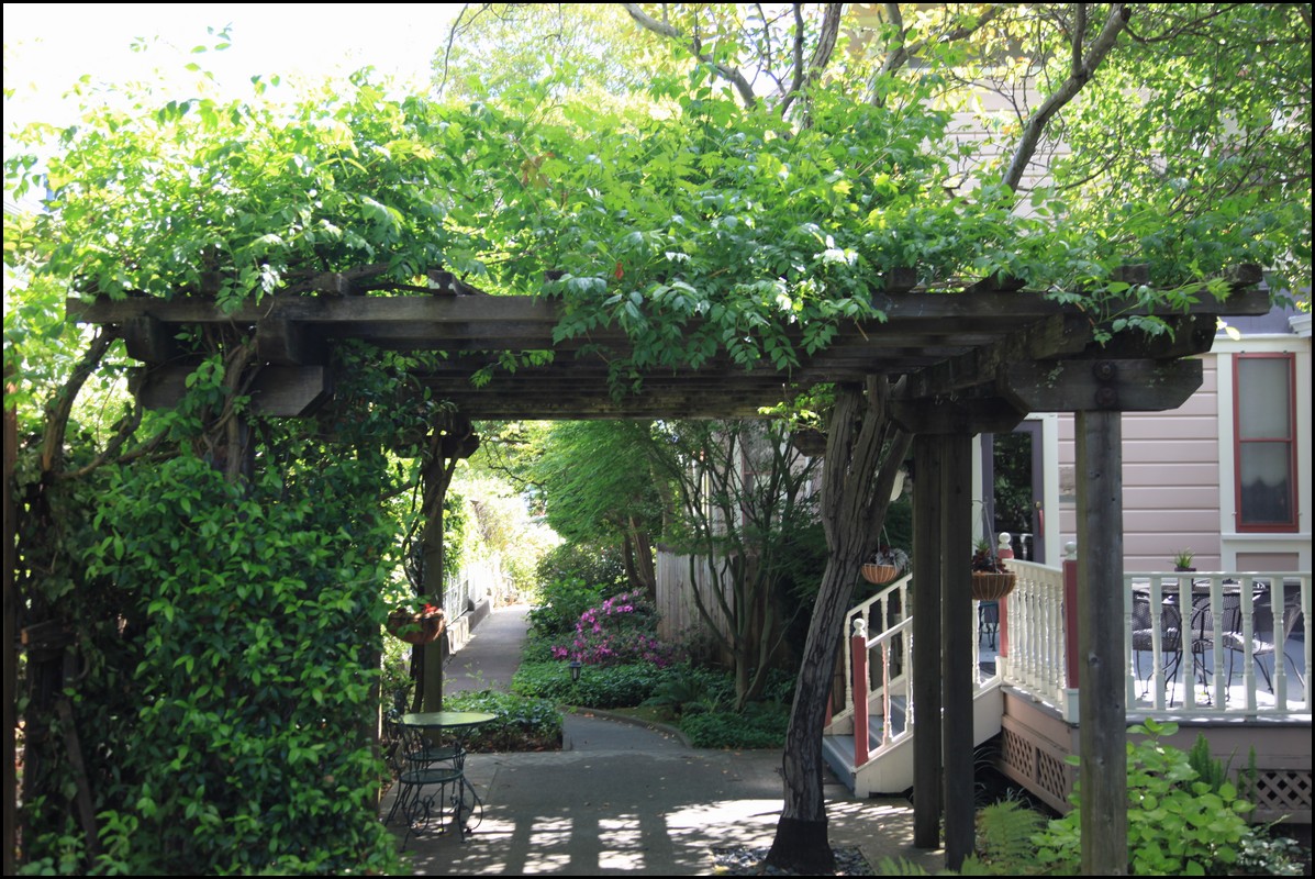 Napa 2011 059.JPG