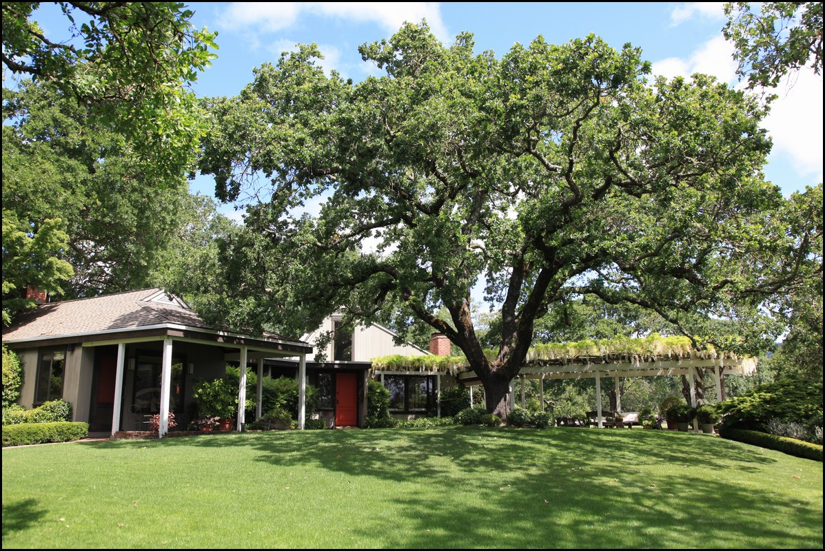 Napa 2011 069.JPG