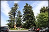 Napa 2011 023.JPG