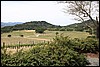 Napa 2011 031.JPG