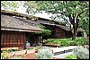 Napa 2011 033.JPG