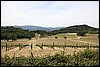 Napa 2011 034.JPG