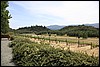 Napa 2011 035.JPG