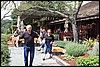 Napa 2011 037.JPG