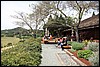 Napa 2011 038.JPG