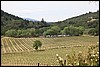 Napa 2011 042.JPG