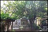 Napa 2011 054.JPG