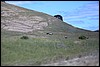 Napa 2011 061.JPG