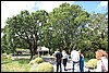 Napa 2011 072.JPG