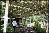 Napa 2011 075.JPG
