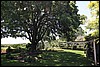 Napa 2011 077.JPG