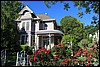 Napa 2011 099.JPG