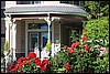 Napa 2011 100.JPG