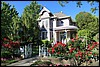 Napa 2011 101.JPG