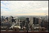 IMG_2892.JPG