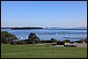 IMG_3079.JPG