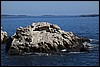 IMG_3164.JPG