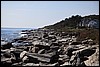 IMG_3195.JPG