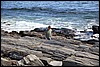 IMG_3222.JPG