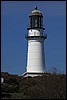 IMG_3262.JPG