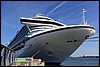 IMG_3266.JPG