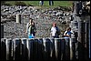 IMG_3267.JPG