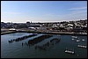IMG_3300.JPG