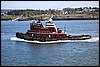 IMG_3348.JPG