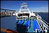 IMG_3403.JPG