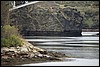 IMG_3544.JPG