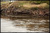 IMG_3549.JPG
