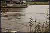 IMG_3554.JPG