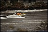 IMG_3559.JPG