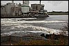 IMG_3561.JPG