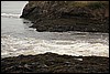 IMG_3565.JPG