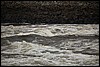 IMG_3567.JPG