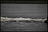 IMG_3568.JPG