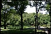 New York City 2005-016.JPG